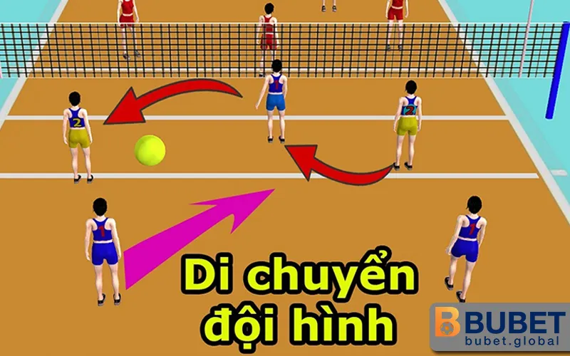 Sơ đồ các vị trí và kỹ thuật trong bóng chuyền