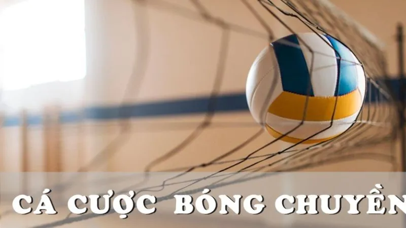 Cách Cược Bóng Chuyền BUBET Mới Nhất 2025 1 Thông tin chi tiết về kèo cá cược bóng chuyền