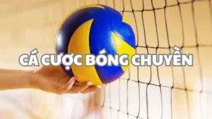 ca-cuoc-bong-chuyen