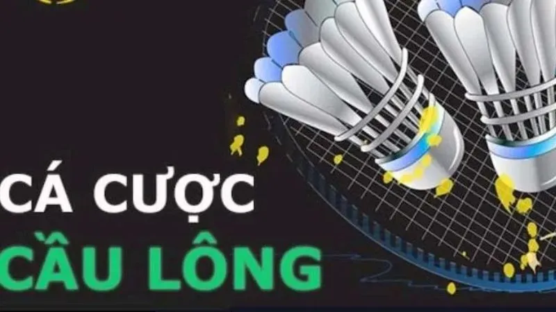 Hướng dẫn cá cược cầu lông chi tiết cho người mới bắt đầu 1 ca-cuoc-cau-long-2