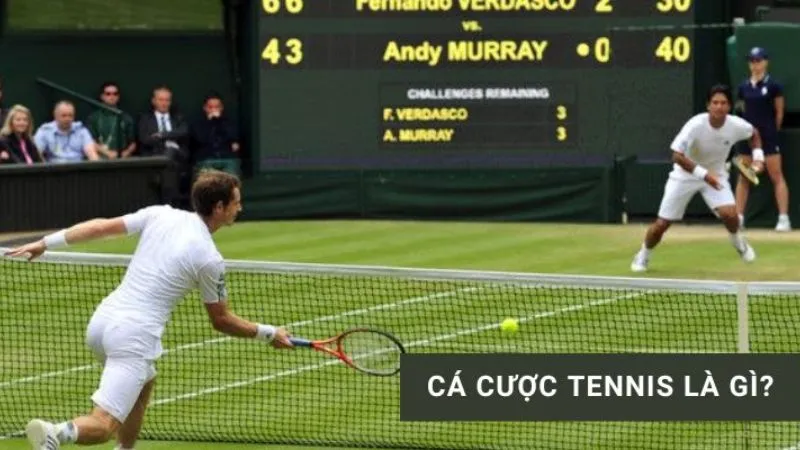 ca-cuoc-tennis-1