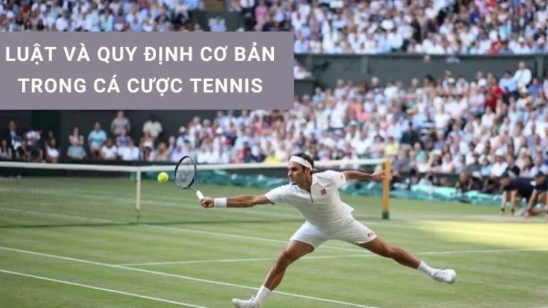 Luật chơi cá cược tennis bubet
