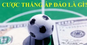 cược thắng áp đảo 1